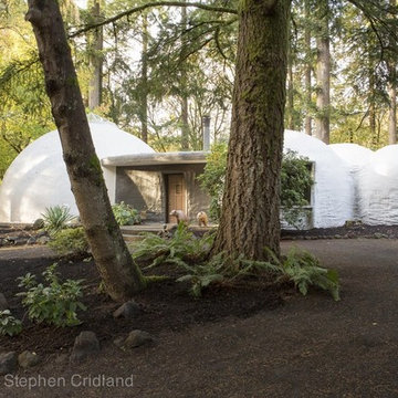 West Linn Dome Home