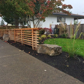 Family Friendly Modern Front Yard