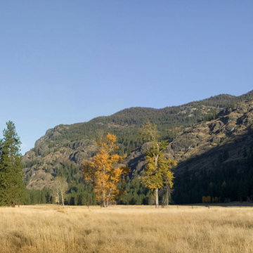 Meadow Cabin