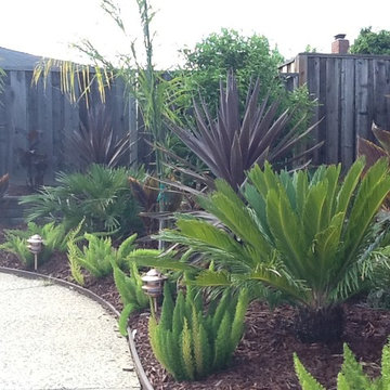 Lawn Conversion for an Entire Property