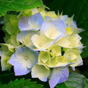Yaritza Viera's photo