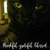 Maryann Ramirez's photo