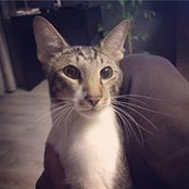 Denis Gnedash's photo