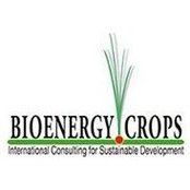 Energy Crops's photo