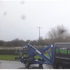 A lynch tree services