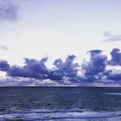Amanda Fong's photo