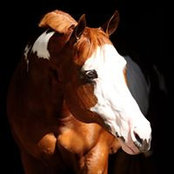 Linda Smit's photo