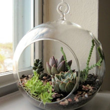 decoration
