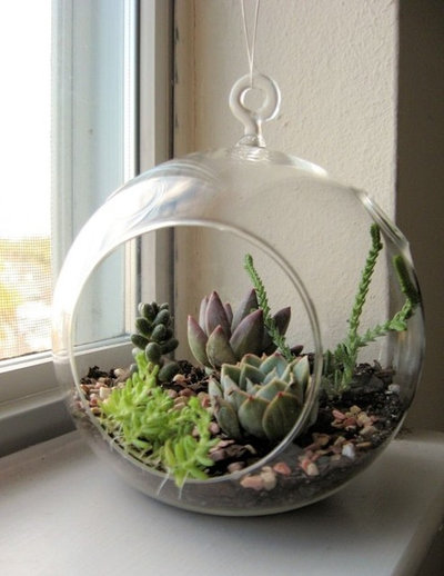 Contemporary Indoor Pots And Planters by Etsy