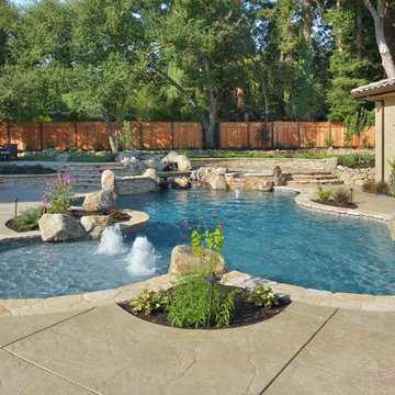 Natural Swimming Pool in Alamo, Ca