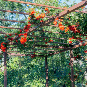 Santa Barbara Garden