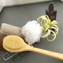ディスプレイ：水廻り
