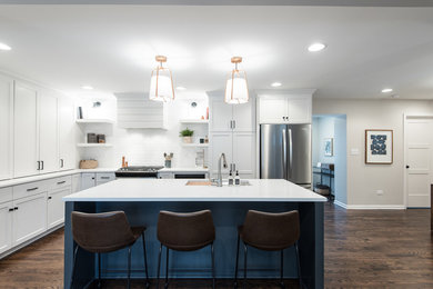 Kitchen - transitional kitchen idea in Chicago