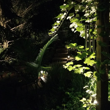 Designer's Residence