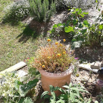 Conceptions de jardins