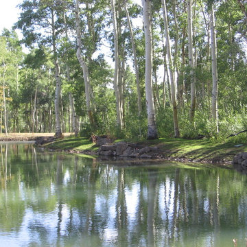 High Mountain Residential Landscape Design