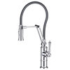 Blossom Single Handle Pull Down Kitchen Faucet, Chrome