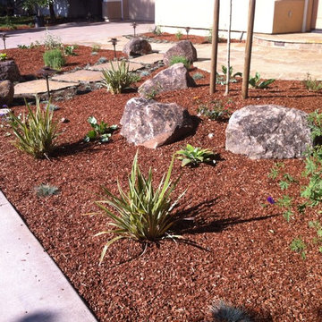New Front Yard