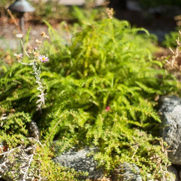 2018 Native Plant Garden Tour