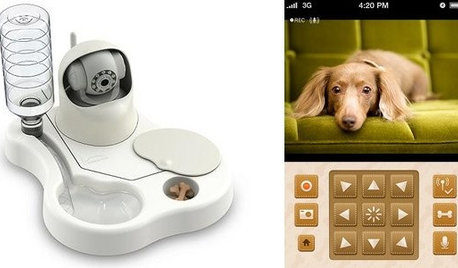 To Feed and Protect: Care for Your Pet From Afar With New Devices