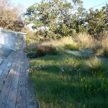Stanley Studio Green Roof