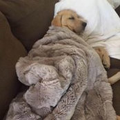 Kathy Kaplan's photo