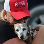 Mandy Evans's photo