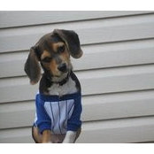 Melissa Murray's photo