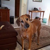Lisa Kasse's photo