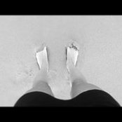Alessandra Basileさんの写真