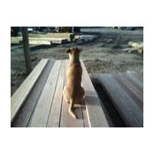 Alan Brisendine's photo