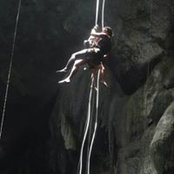 Dawn Nolt's photo