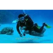 Amit Raval's photo