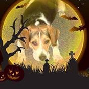 Deborah Taylor's photo