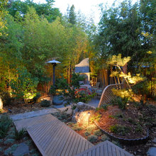 Patio Ideas