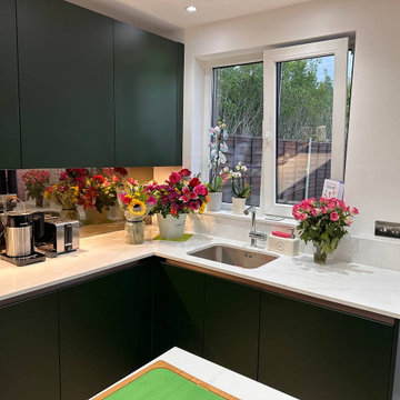 Rear extension for kitchen and dining room