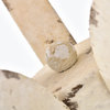 1-Light Matte Black Vintage Distressed Antique White Birch Wood Pendant