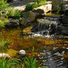landscapes