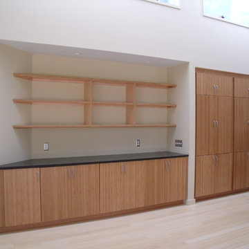 Universal Access Kitchen