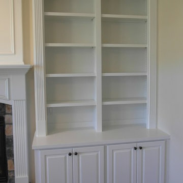 Fireplace Built-ins with divided arched bookcase