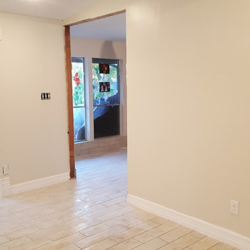 Living Room Renovation and Addition