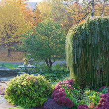 front landscaping
