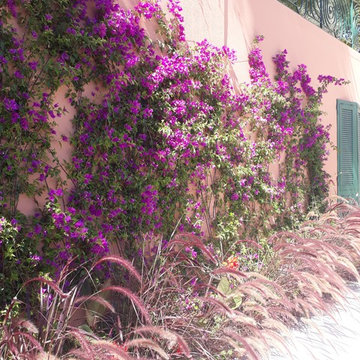 Med Garden