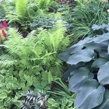 Sensational Shade Gardens
