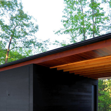 linear cabin