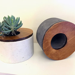 Mr Clooney Planter - Indoor Pots And Planters
