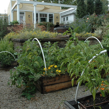 Italianate Style B Street Water Wise & Vegetable Garden