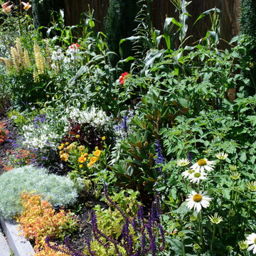 Raised Vegetable Bed / Ornamental Garden 2016