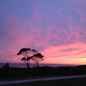 Foto von Lucinda Cameron