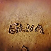 Elva Chen's photo